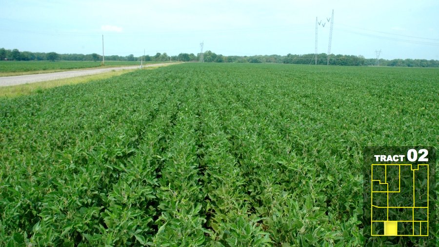 Land Auction 1035 Acres In 16 tracts - Farm Land - Sullivan Co. Indiana & Clark Co., Illinois